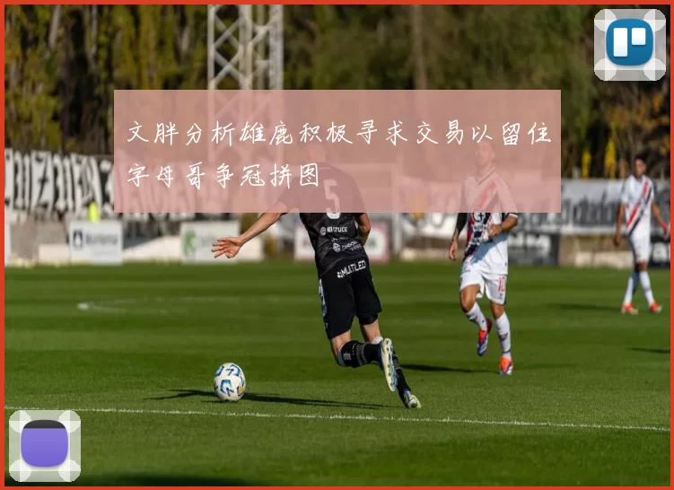 文胖分析雄鹿积极寻求交易以留住字母哥争冠拼图